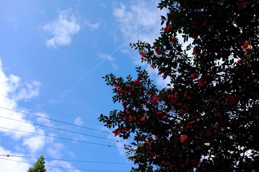ひこうき雲